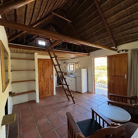 Enjo Nature Farm Clanwilliam Exterior photo